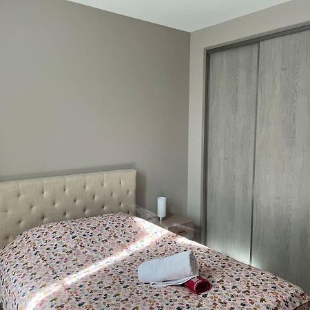 Superbe Appartement Plein Centre Millau Esterno foto