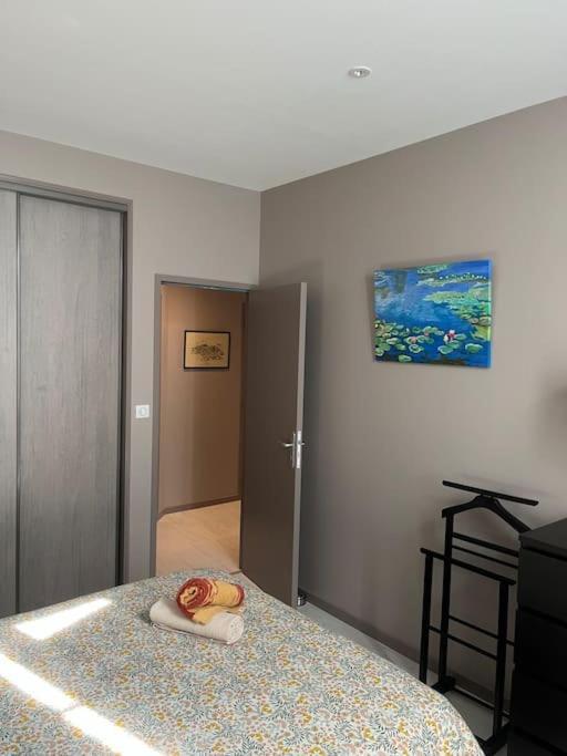 Superbe Appartement Plein Centre Millau Esterno foto